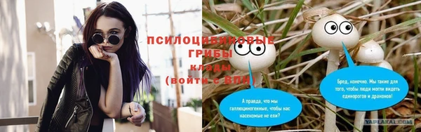 амф Верея