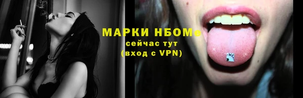 амф Верея