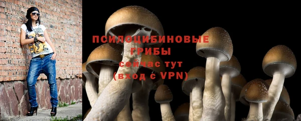 соль ск Верхний Тагил
