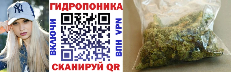 Шишки марихуана Bruce Banner  Певек 